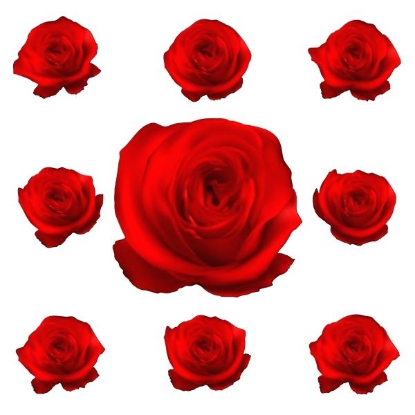 600x600 Vector Rose Flowers