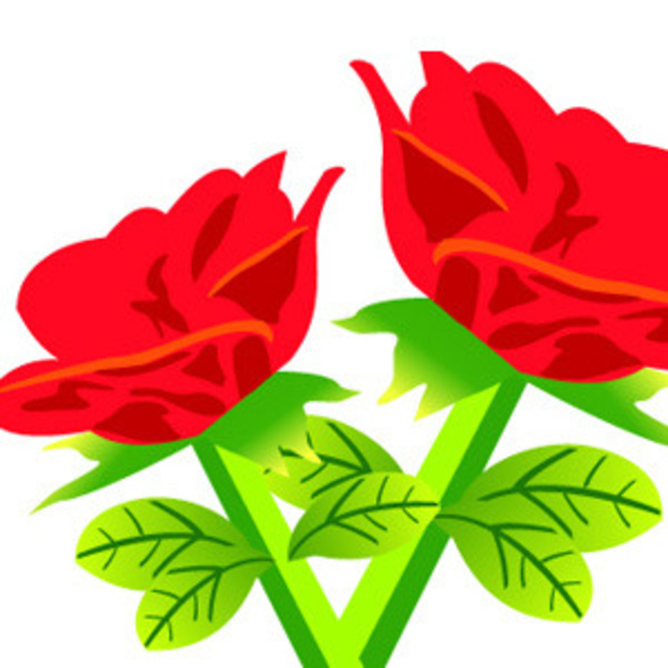936x936 Free Vector Red Rose Flowers Freevectors