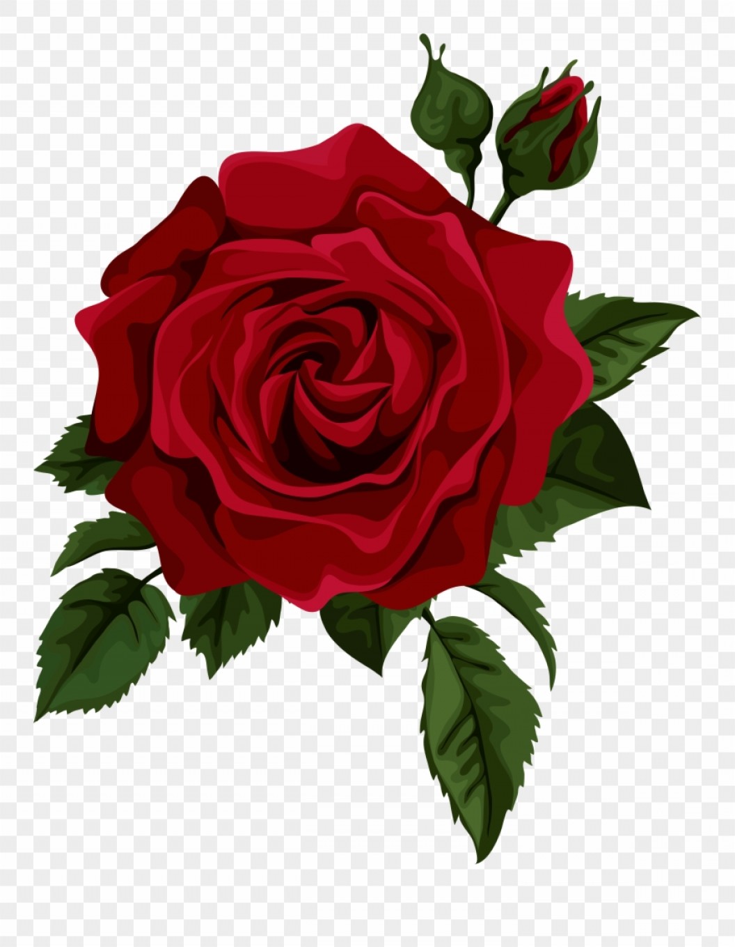 Red Rose Vector at Vectorified.com | Collection of Red Rose Vector free ...