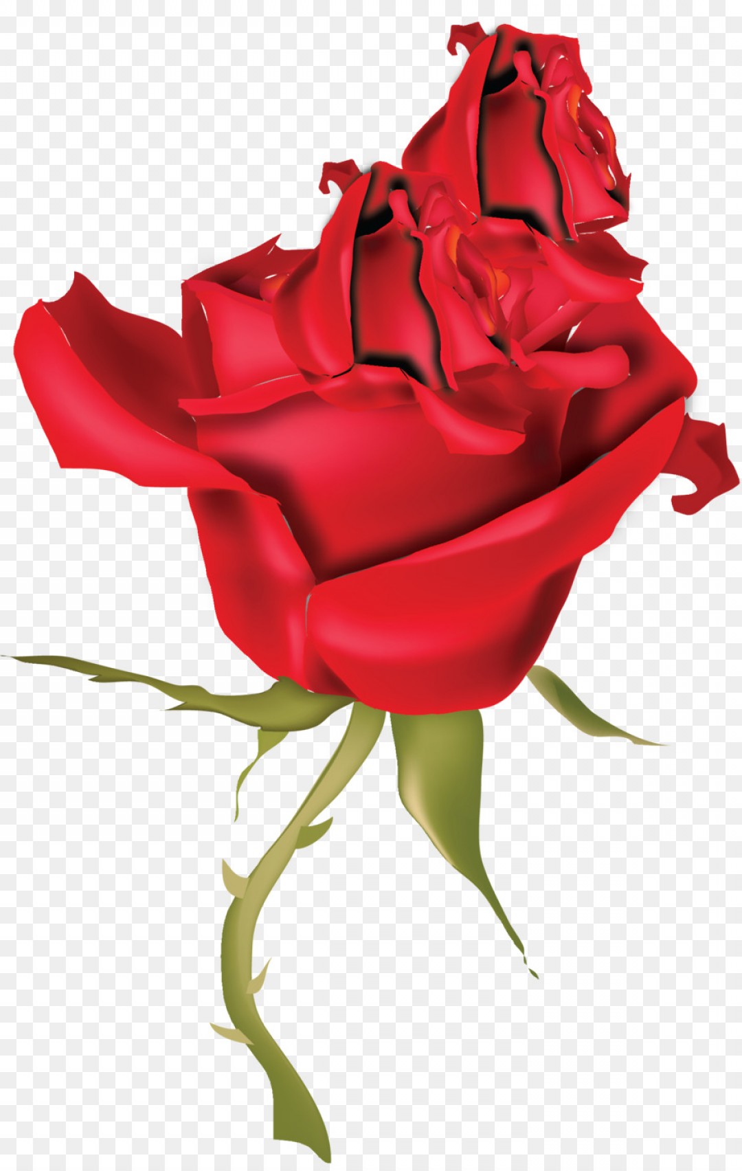 1080x1704 Png Flower Rose Clip Art Rose Vector Handandbeak