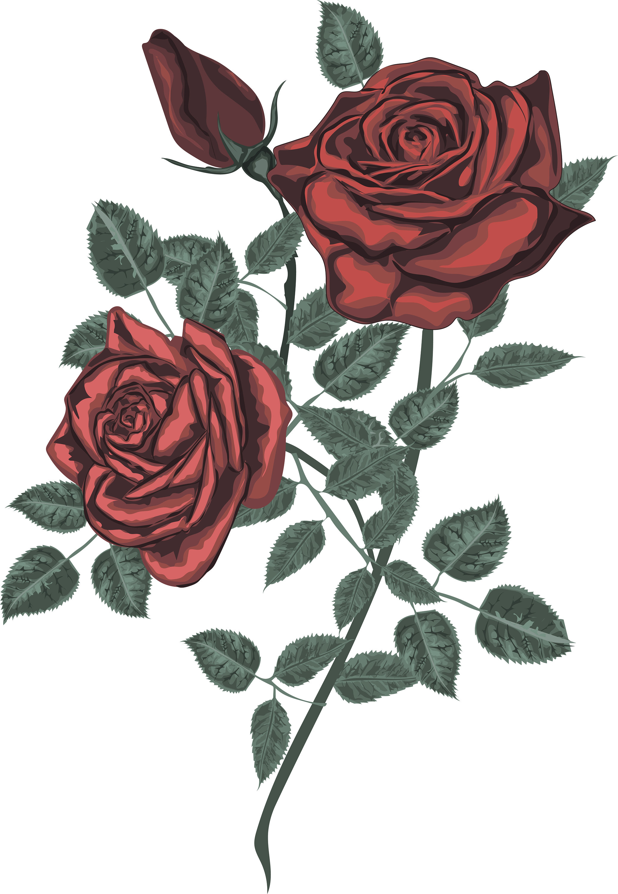 Red Rose Vector Bouquet Cliaprt Rose Bouquet Vintage Card Etsy 2077x3000 Red Rose Vector Bouquet Cliaprt Rose Bouquet Vintage Card Etsy