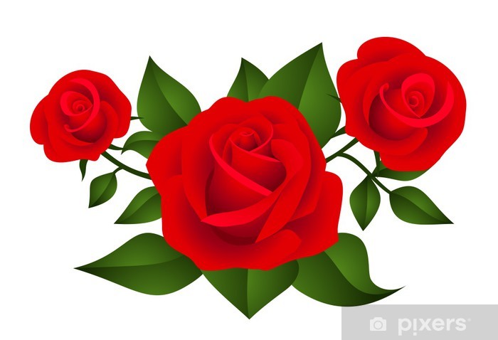 700x478 Three Red Roses Vector Illustration Wall Mural