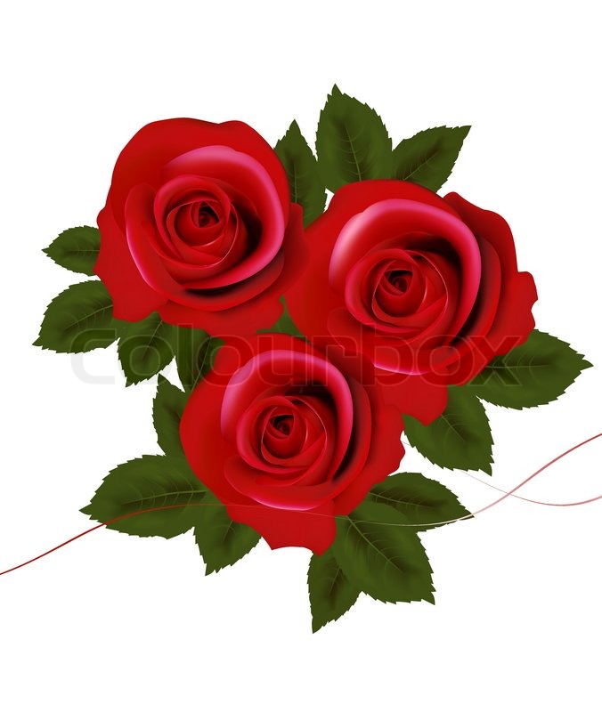 676x800 Background With Red Roses Vector Stock Vector Colourbox