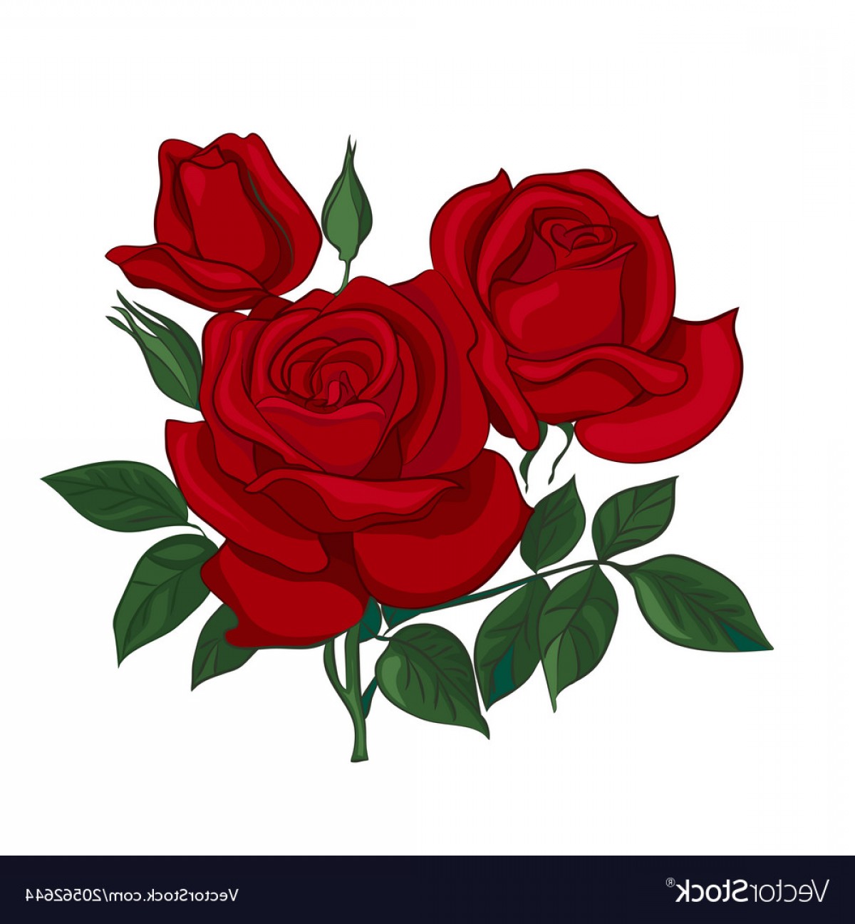 Red Rose Vector at Vectorified.com | Collection of Red Rose Vector free ...