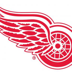 300x300 Boston Red Sox Vector Logo Createmepink