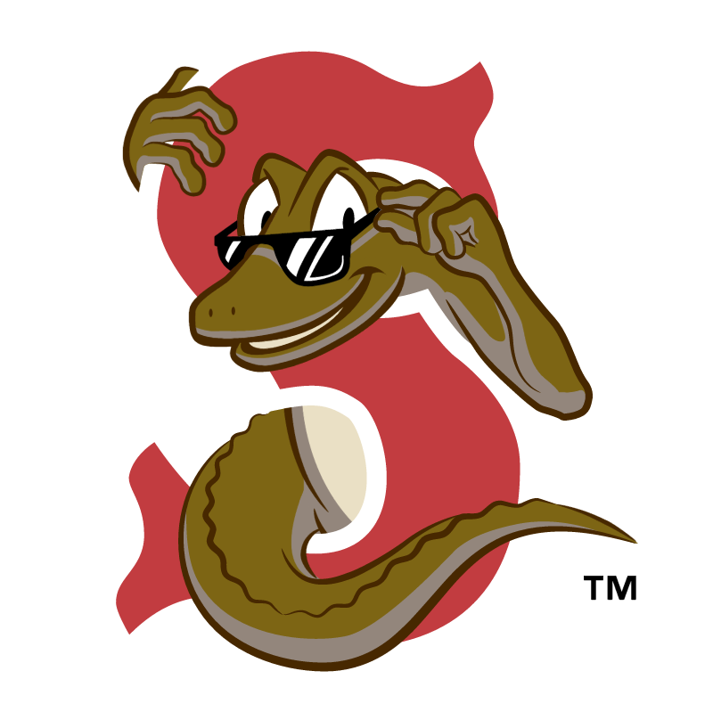 800x799 Sarasota Red Sox Free Vectors, Logos, Icons And Photos Downloads