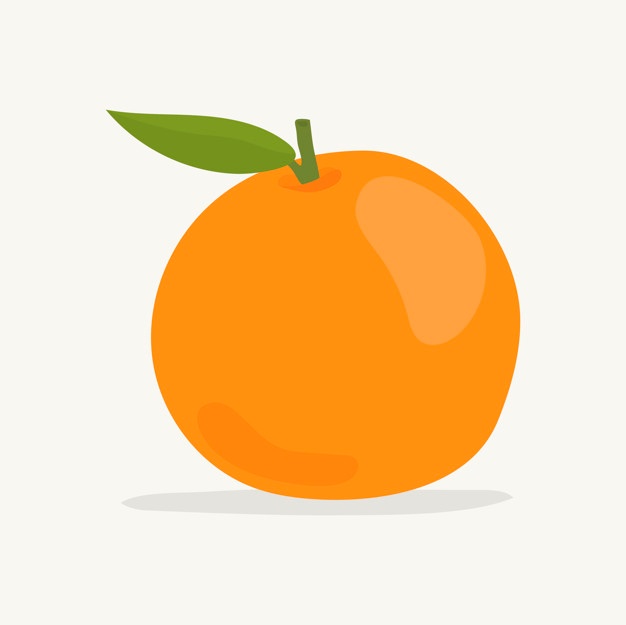 626x625 Orange Vectors, Photos And Free Download
