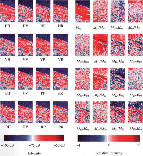 565x617 Stokes Vector