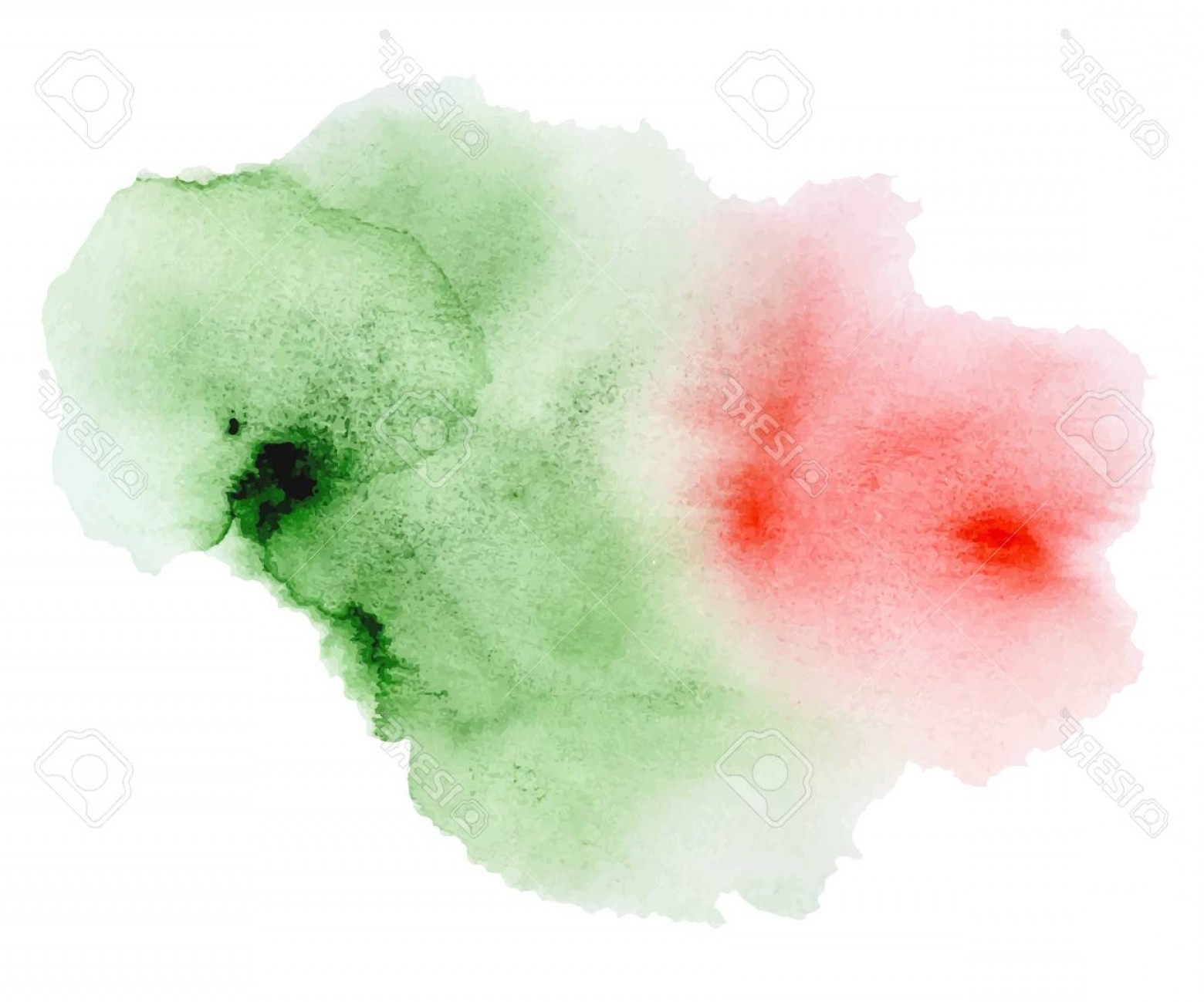1560x1299 Photostock Vector Watercolor Red And Green Splash On White