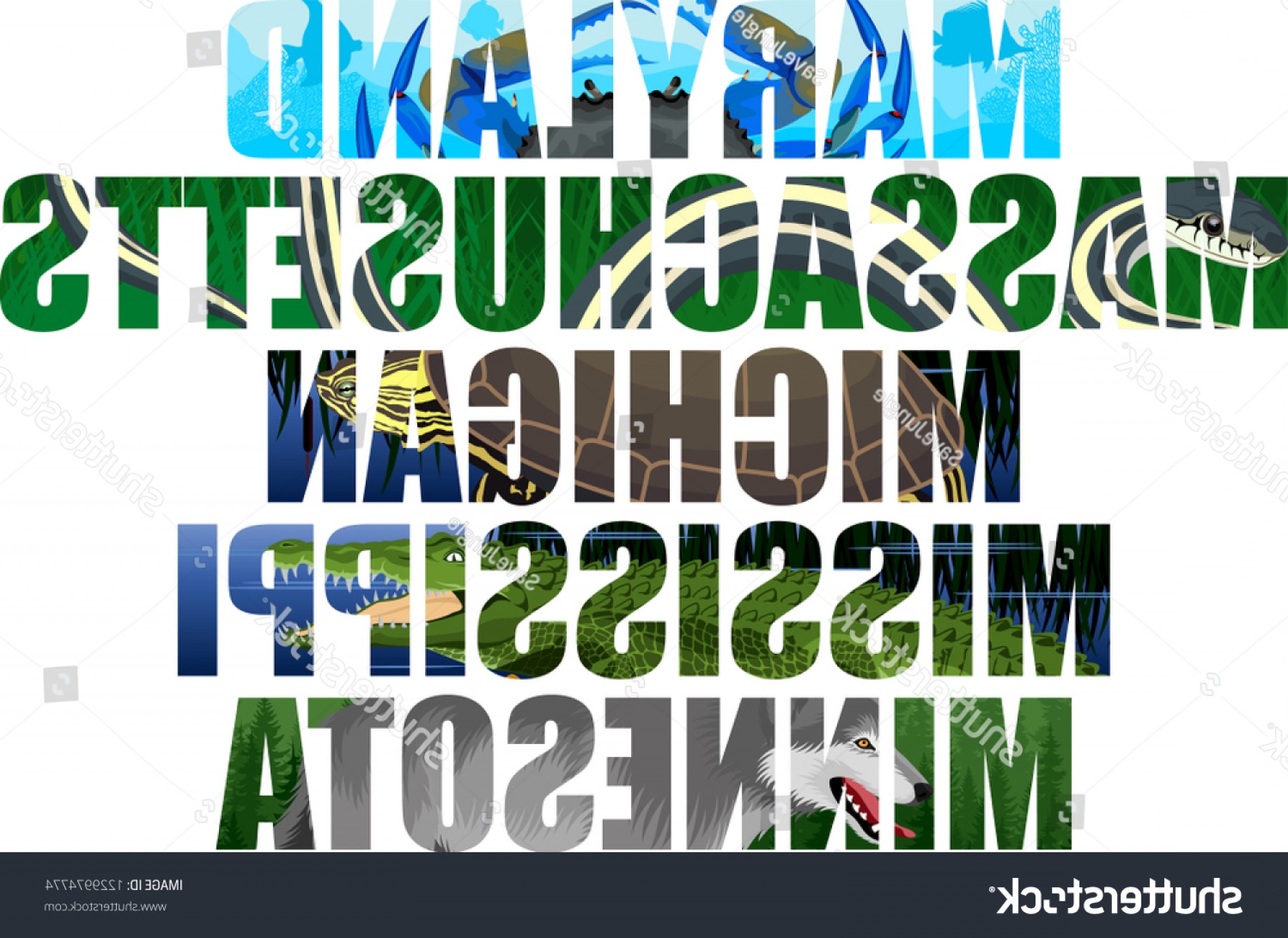 1800x1311 Vector Set American States Word Animals Soidergi