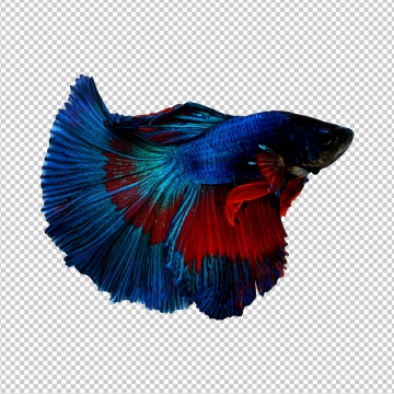 360x360 Red Fish Png Images Vector And Free Download