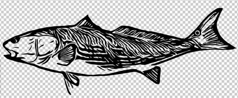 794x330 Redfish Etsy