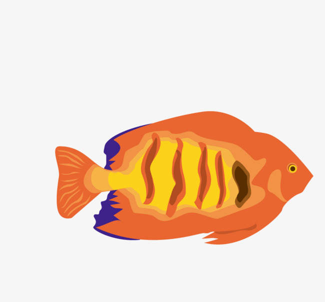 650x604 Colorful Redfish Vector Material, Vector Material, Colorful, Fish