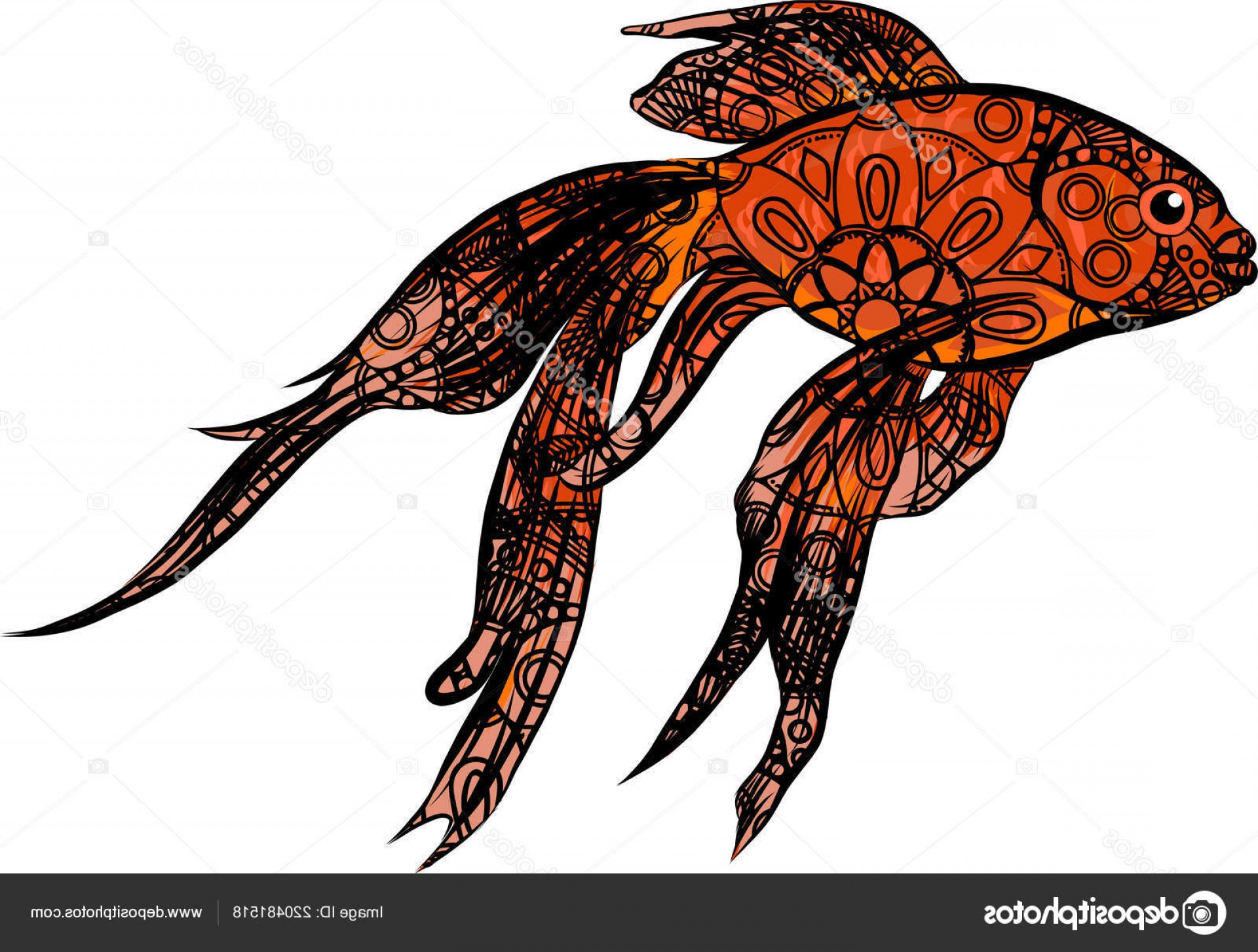 1920x1454 In Red White Black Drum Fish Vector Sarahgardan