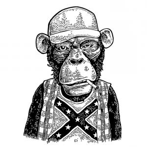300x300 Monkey Redneck In Trucker Cap T Shirt With Flag Vector Wallkeeper
