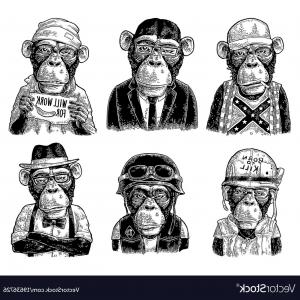 300x300 Vector Children Alphabet Set Redneck Pink Handandbeak