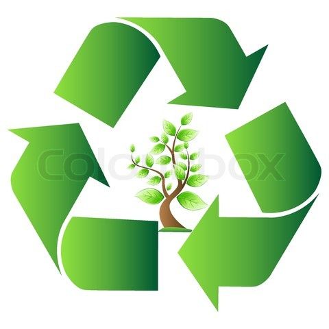 Vector Of 'illustration Of Vector Recycle Symbol With Tree 480x480 Vector Of 'illustration Of Vector Recycle Symbol With Tree