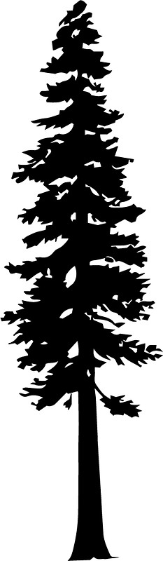 Redwood Tree Silhouette Vector at Vectorified.com | Collection of