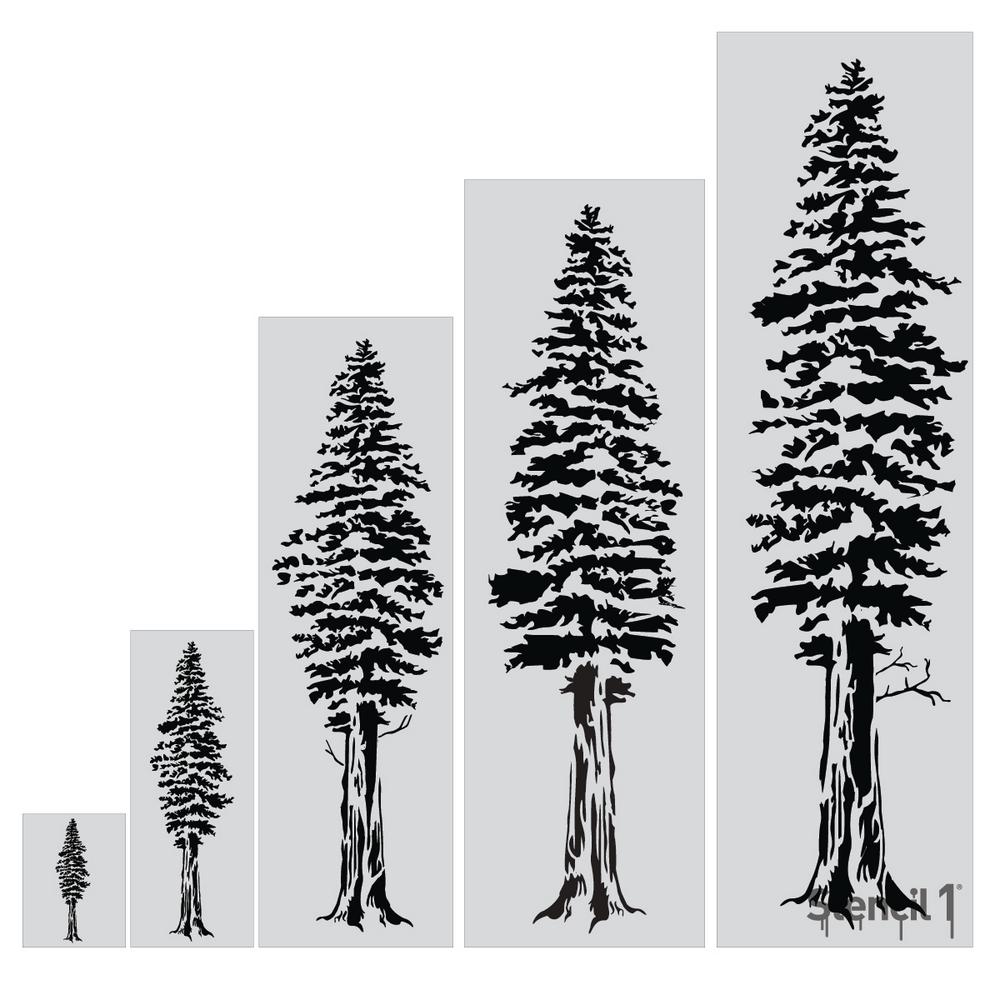 1000x1000 Huge Collection Of 'redwood Tree Drawing' Download More Than