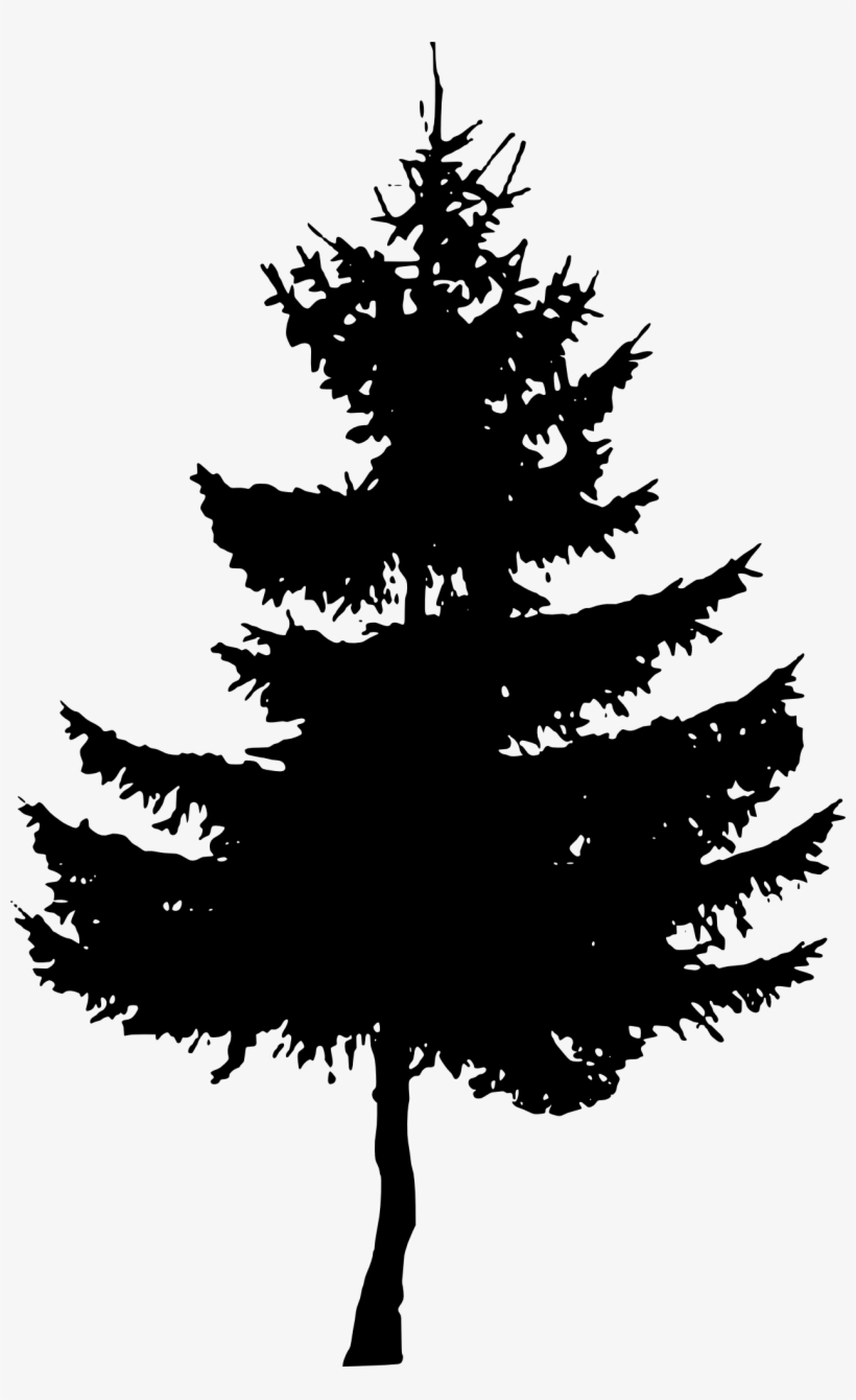 Download Redwood Tree Silhouette Vector at Vectorified.com ...