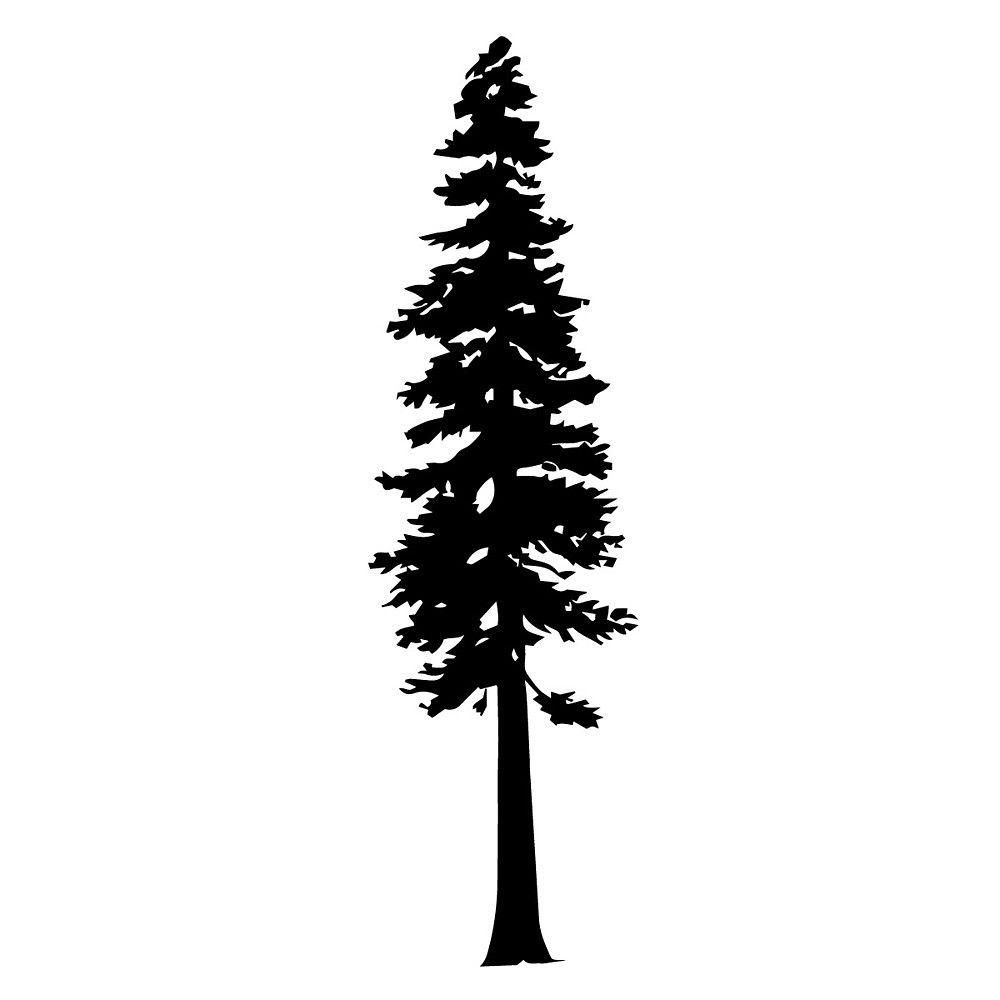 1000x1000 Redwood Tree Silhouette