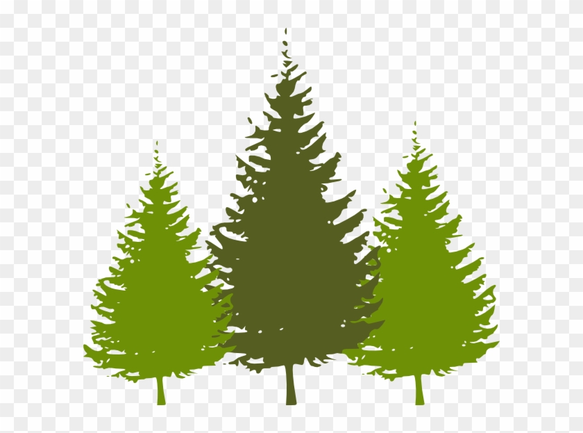 840x623 Redwood Tree With Face Clipart Png Gt Gt