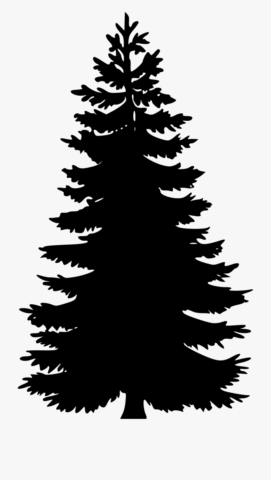 Redwood Tree Silhouette Vector at Vectorified.com | Collection of