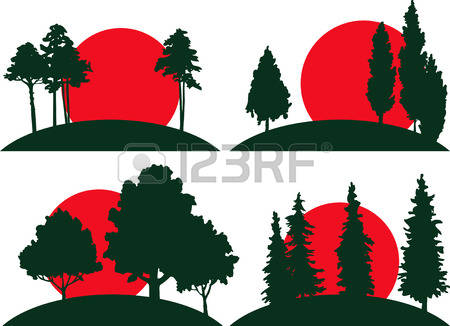 450x326 Free Redwood Tree Clipart Collection