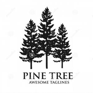 300x300 Pine Tree Green Silhouette Forest Logo Outdoor Travel Natural