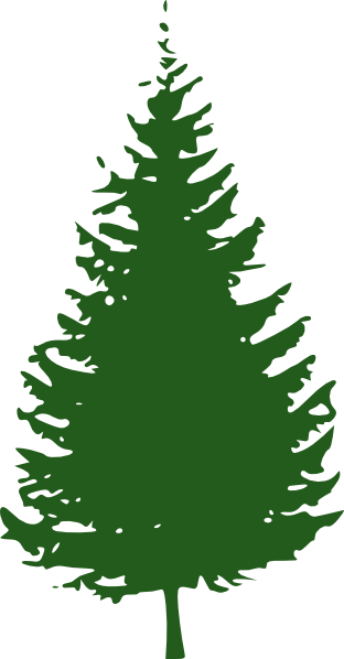 312x598 Redwood Tree Clip Art Look At Clip Art Images