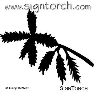 320x320 Redwood Tree Leaf Signtorch, Turning Images Into Vector Cut Paths
