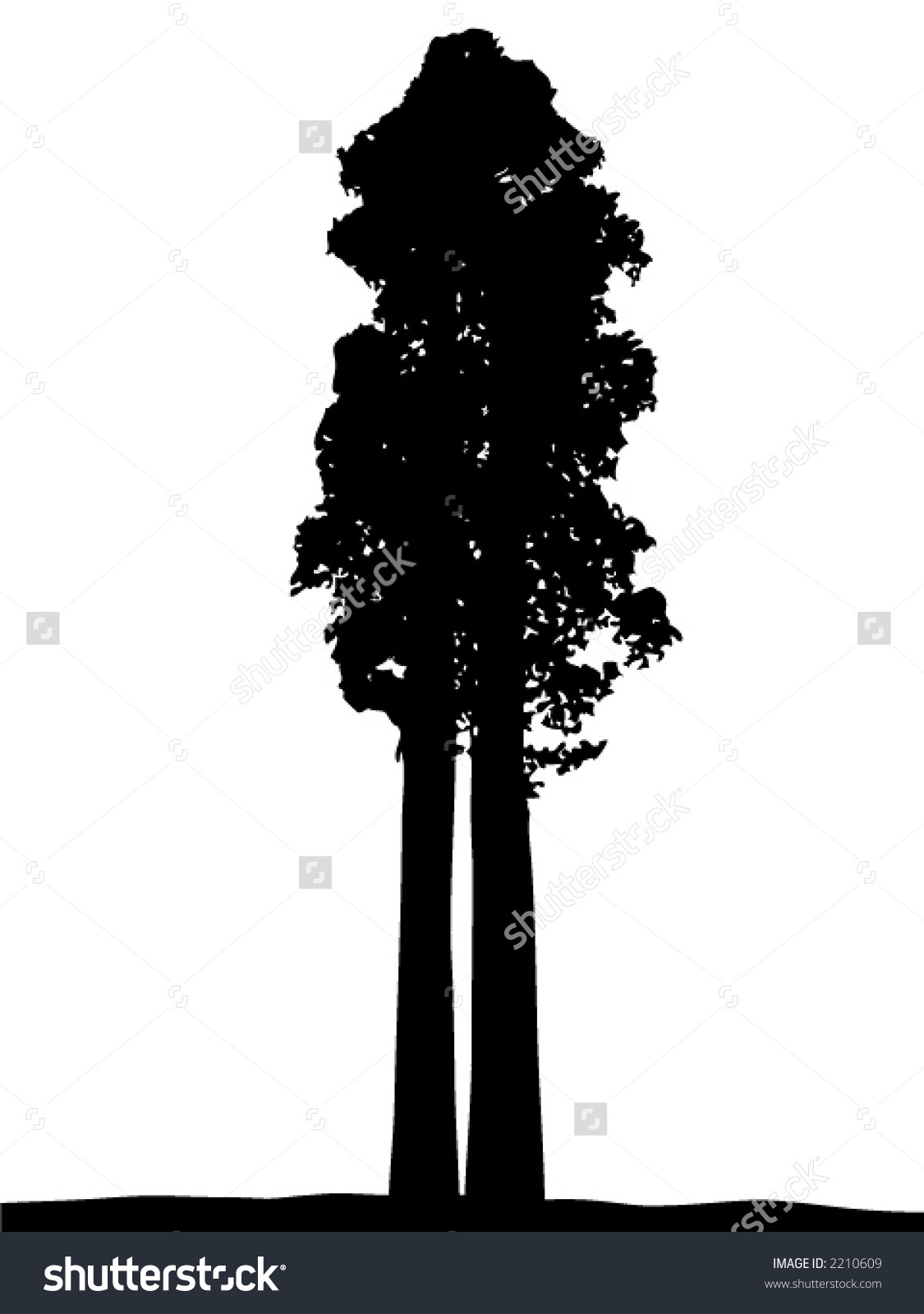 1125x1600 Sequoia Trees Clipart Free Cliparts Download Images
