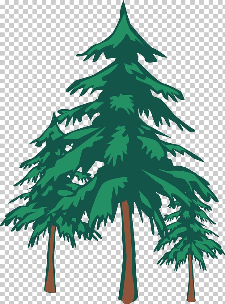 728x985 St Andrew United Church Christ Redwood Grove Hotel Child