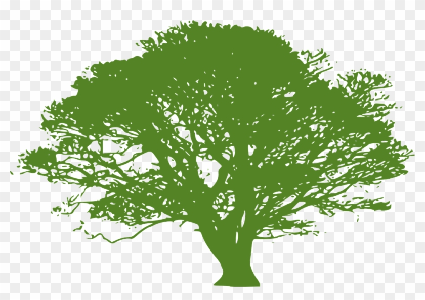 840x594 Tree Vector Png Buy Clip Art