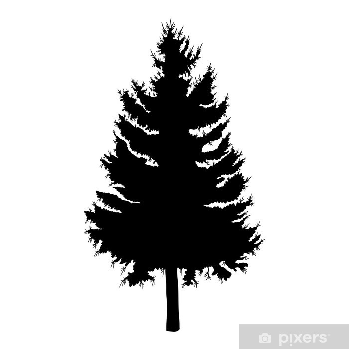 700x700 Hand Drawn Fir Tree Vector Illustration Silhouette Of Black Pine
