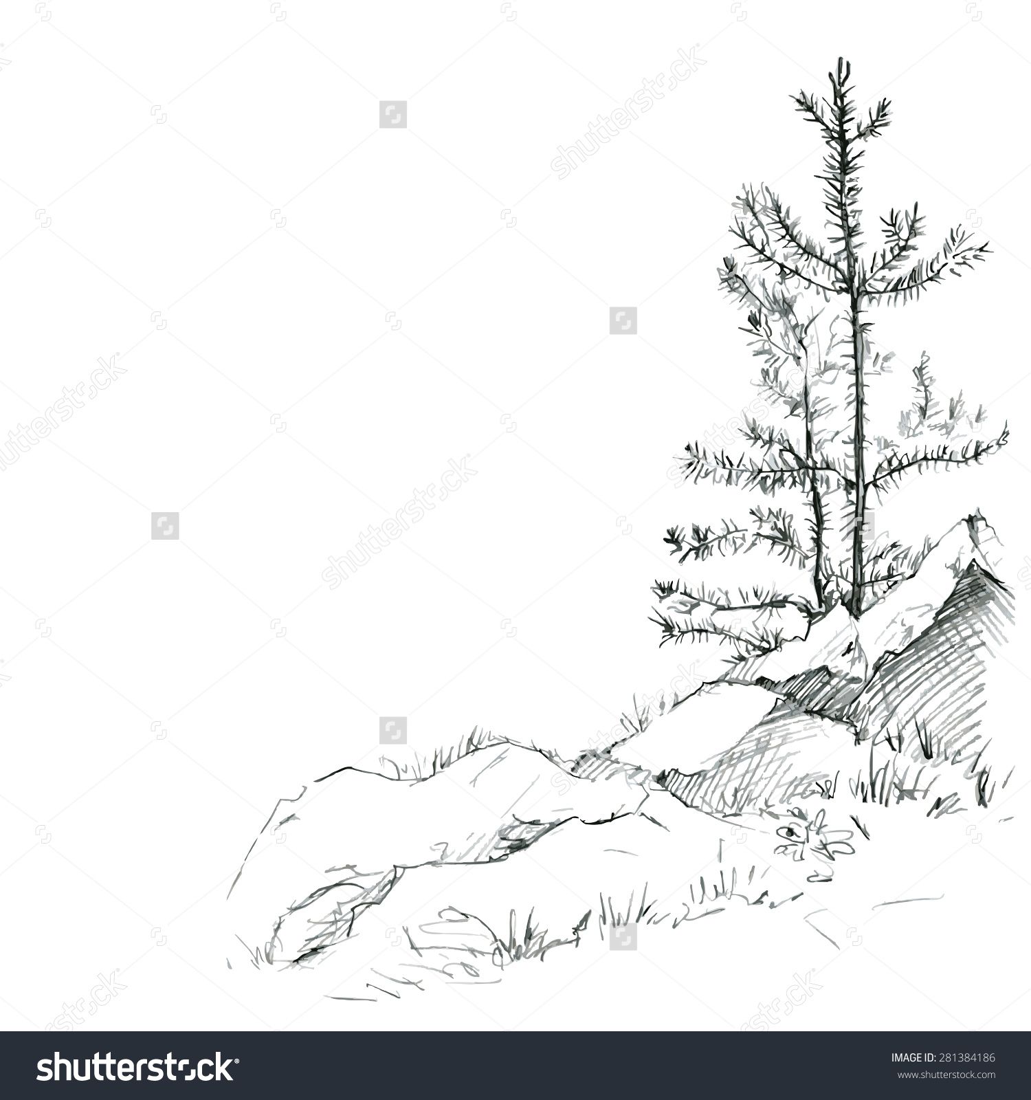 Redwood Stock Vectors Vector Clip Art Shutterstock Tats 1500x1600 Redwood Stock Vectors Vector Clip Art Shutterstock Tats