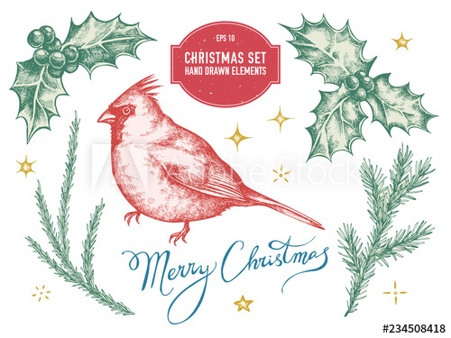 Vector Collection Of Hand Drawn Pastel Cardinal, Sparkles 500x375 Vector Collection Of Hand Drawn Pastel Cardinal, Sparkles