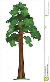 Image Result For Redwood Vector Graphic Sfbc Jersey 175x287 Image Result For Redwood Vector Graphic Sfbc Jersey