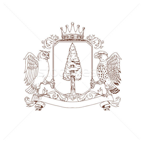 Owl And Hawk Redwood Crown Crest Drawing Vector Illustration 600x600 Owl And Hawk Redwood Crown Crest Drawing Vector Illustration