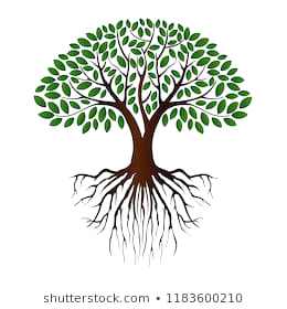 Picture Of A Tree With Roots Tree Vector Illustrations Roots 260x280 Picture Of A Tree With Roots Tree Vector Illustrations Roots