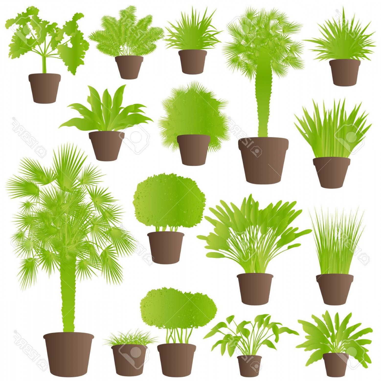 1558x1560 Photoexotic Jungle Bushes Grass Reed Palm Tree Wild Plants Set