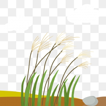 360x360 Reed Png, Vector, And Clipart With Transparent Background