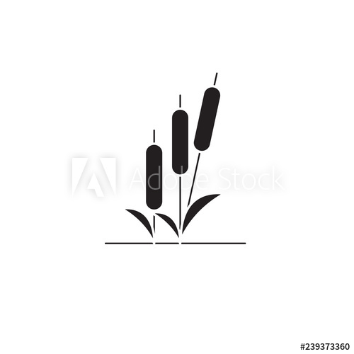 500x500 Reed Black Vector Concept Icon Reed Flat Illustration, Sign