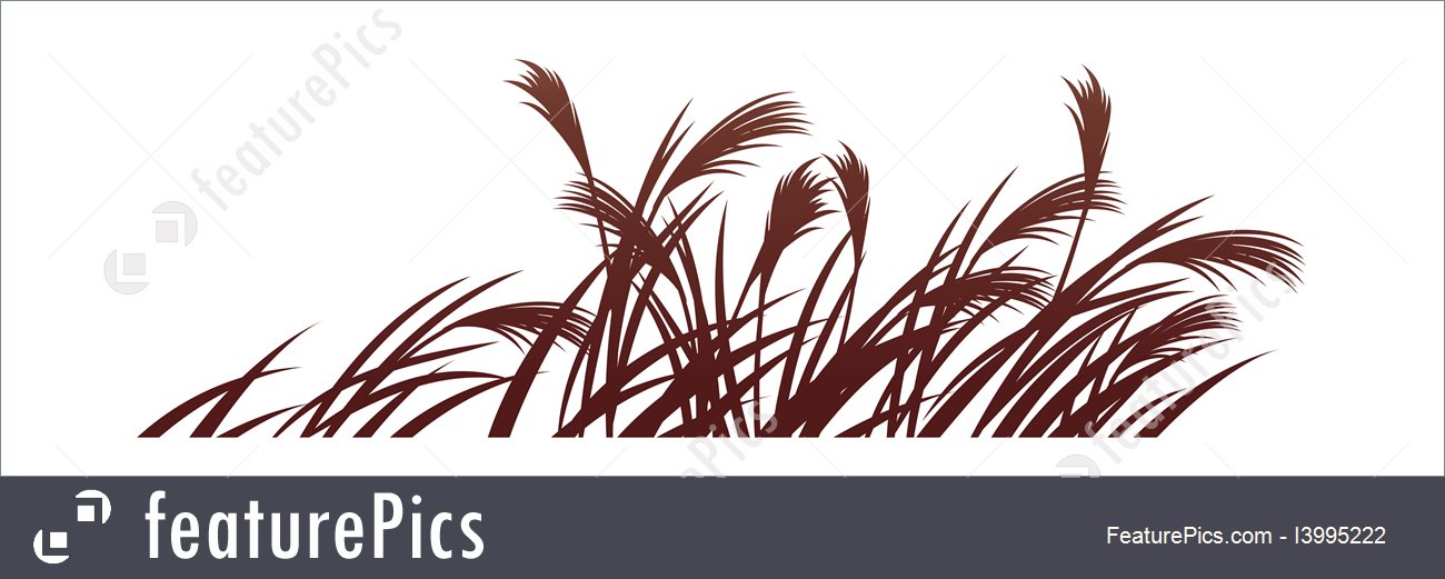 1300x521 Vector Icon Reed Stock Illustration