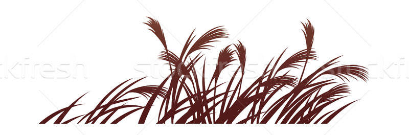 800x264 Vector Icon Reed Vector Illustration Sungjoong Kim