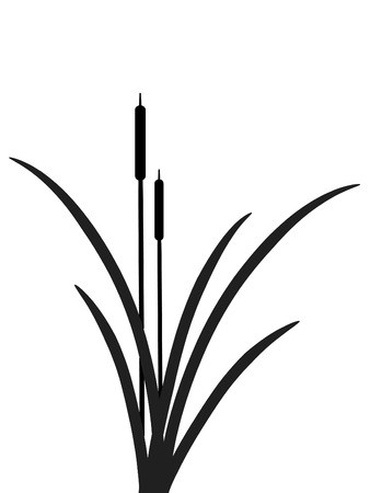 338x450 Vector Illustration Of Black Reed Royalty Free Vector Graphics