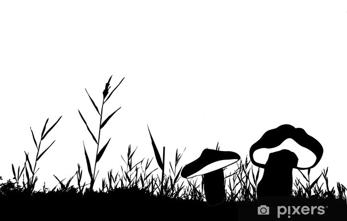 700x446 Vector Silhouette Of The Reed Isolated On White Background Sticker