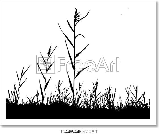 560x470 Free Art Print Of Vector Silhouette Of The Reed Vector Silhouette