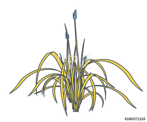 500x414 Outlined Reed And Water Plants In Mobile Phone Yellow Isometric