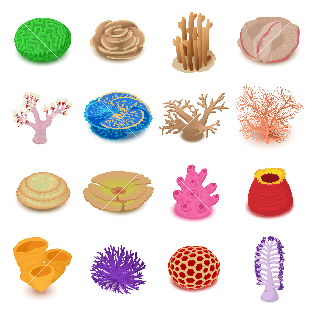 1000x1000 Coral Reef Icons Set Isometric Illustration Of Coral Reef